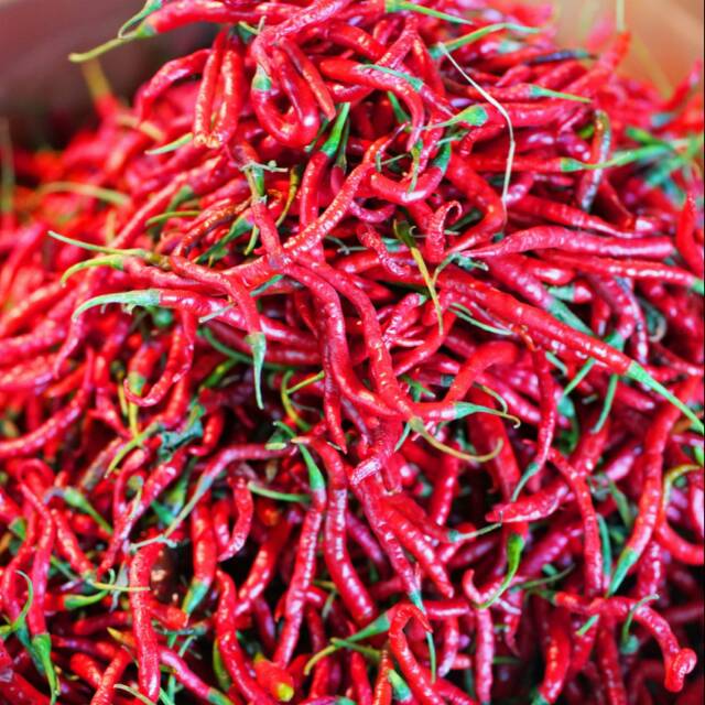 Cabai Merah Keriting