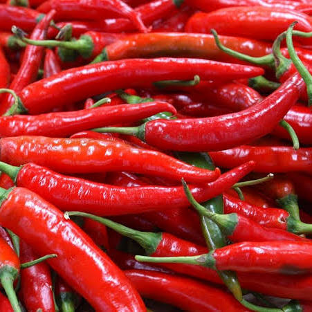 Cabai Merah Besar