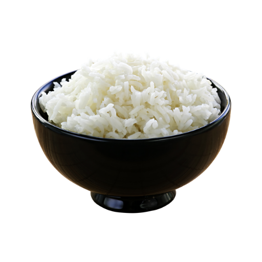 Aneka Nasi