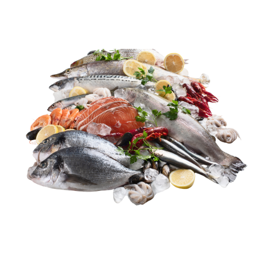 Seafood